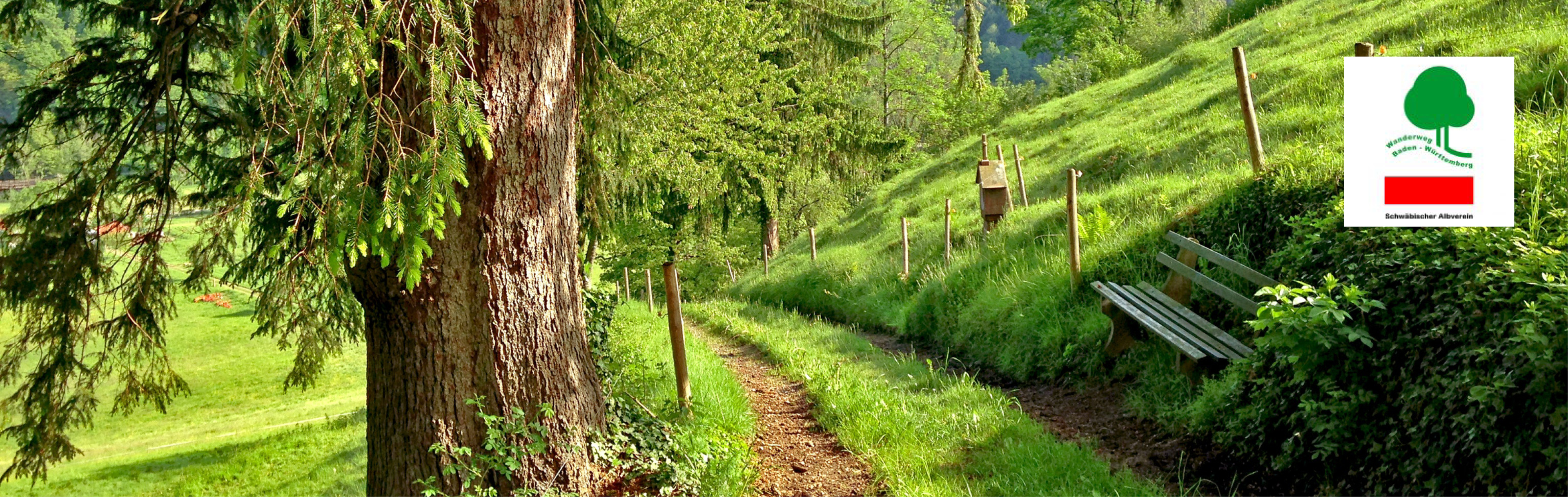 Pfad durch grüne Wiese mit Baum und Holzbank