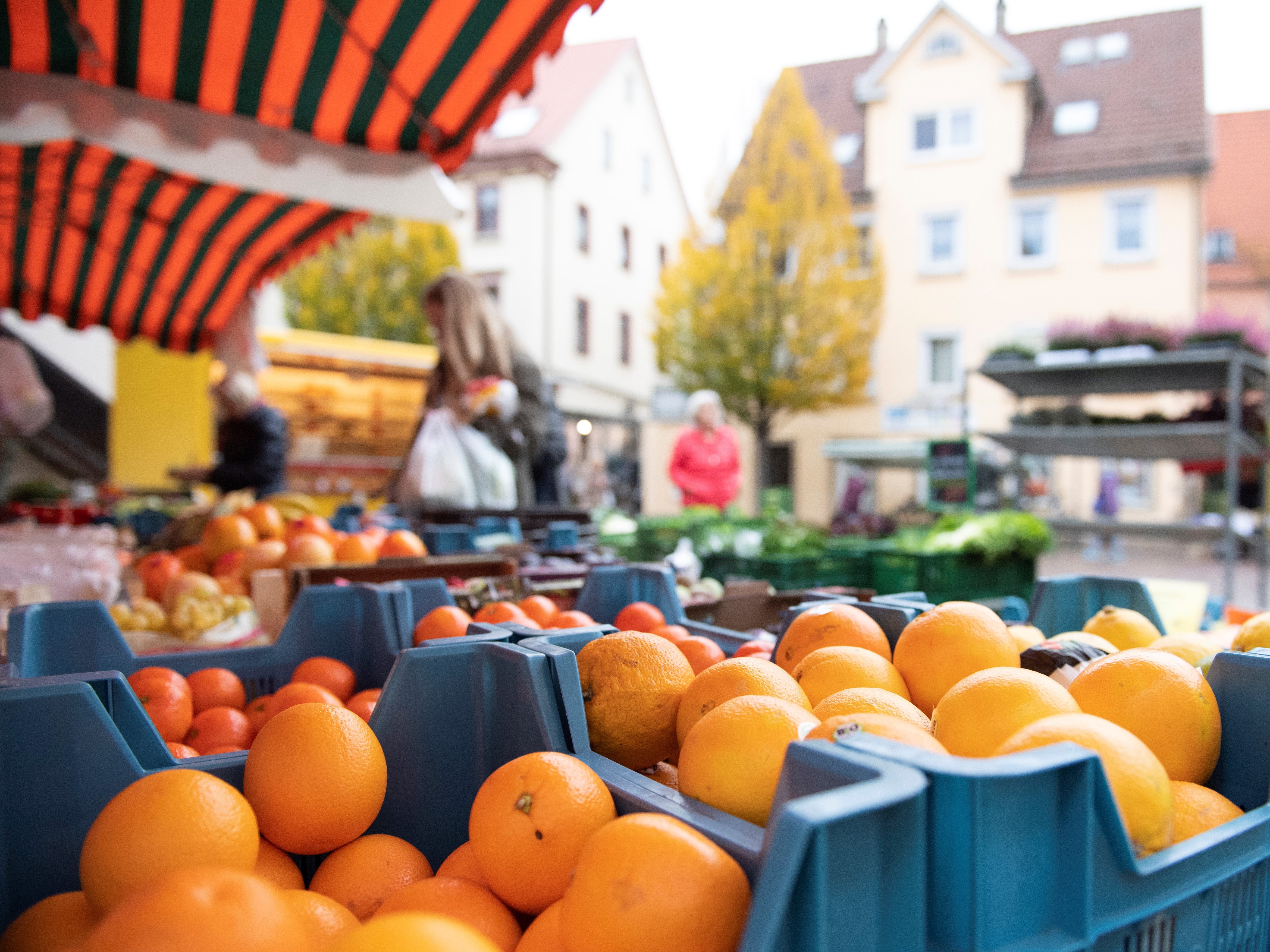 Orangen in Korb am Marktstand