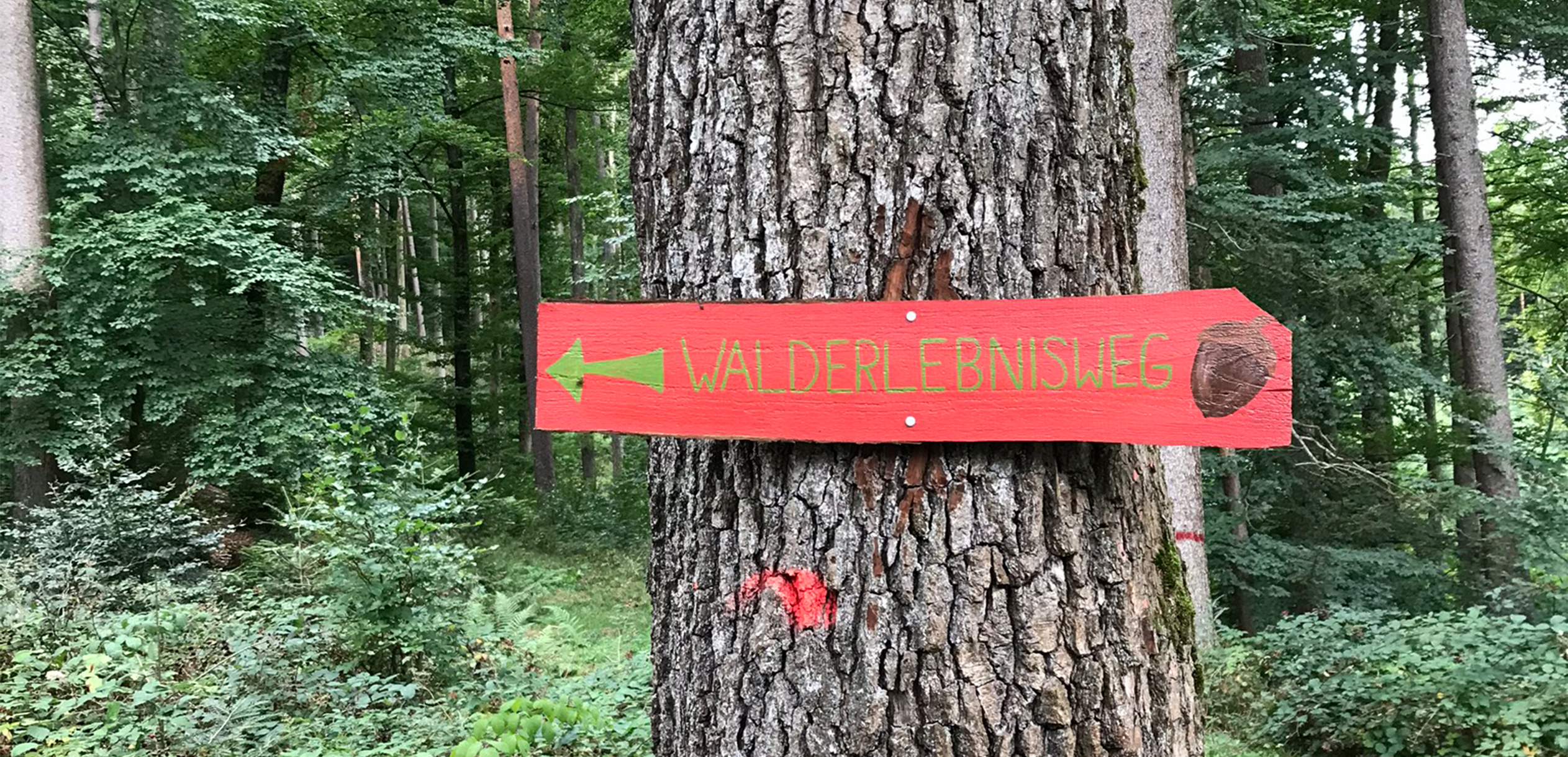Rotes Holzschild als Wegweiser am Baum 