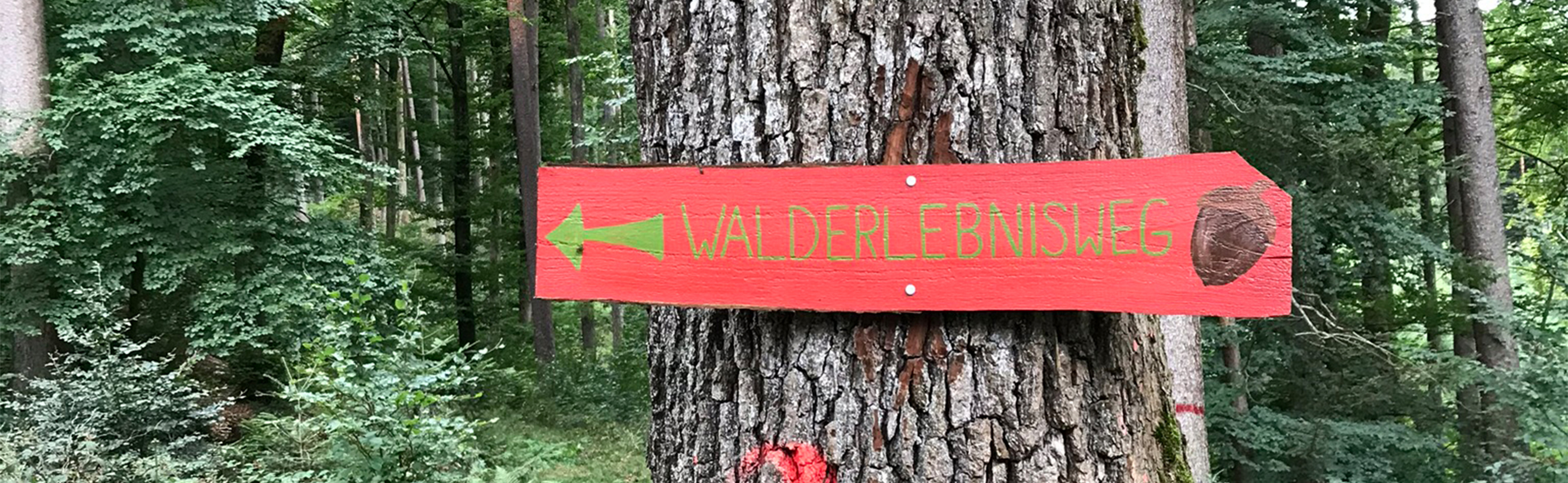 Rotes Holzschild als Wegweiser am Baum