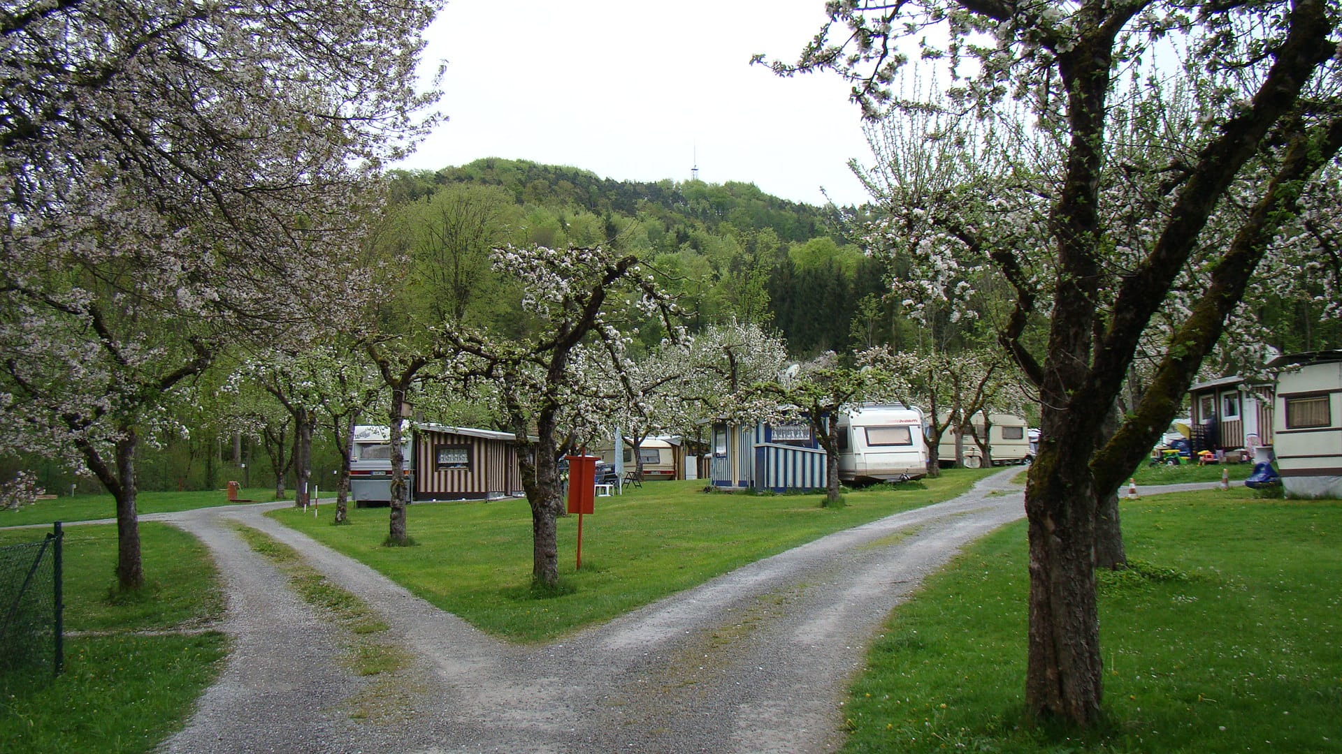 photo-2024-03-25-07-18-08_5