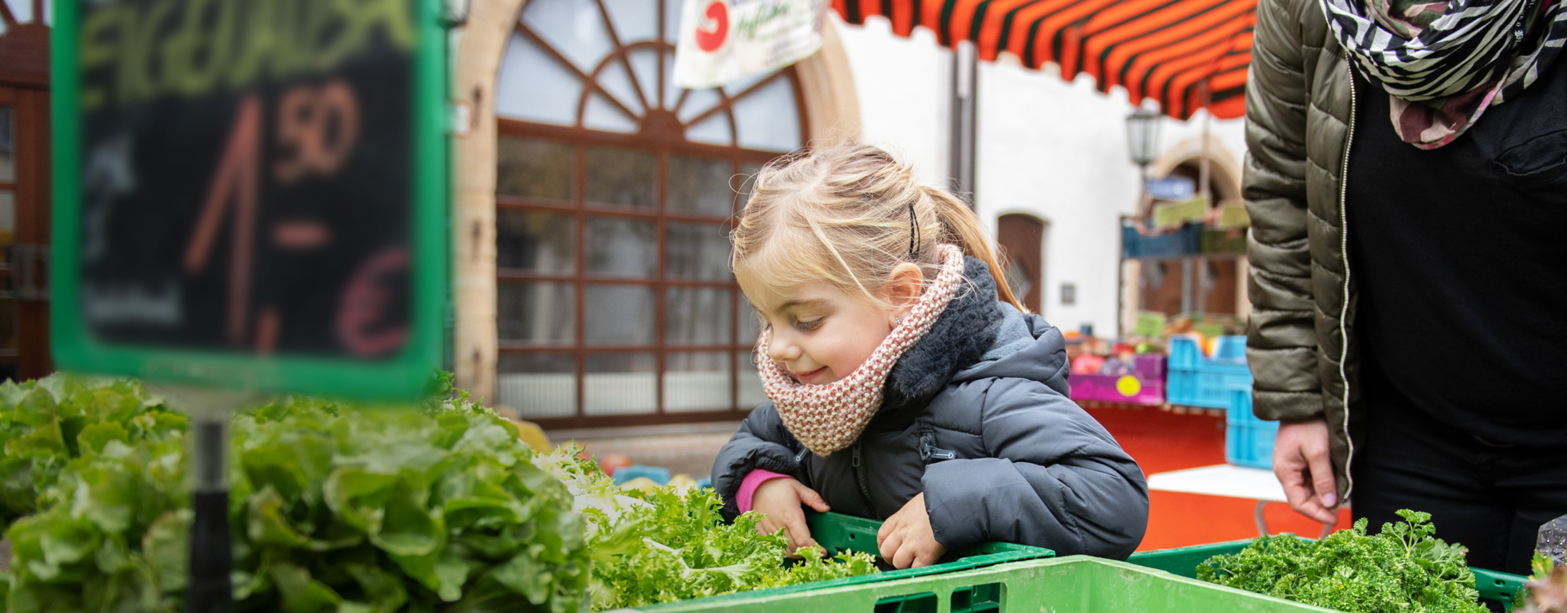 Kind schaut in Kiste mit Salat an einem Marktstand