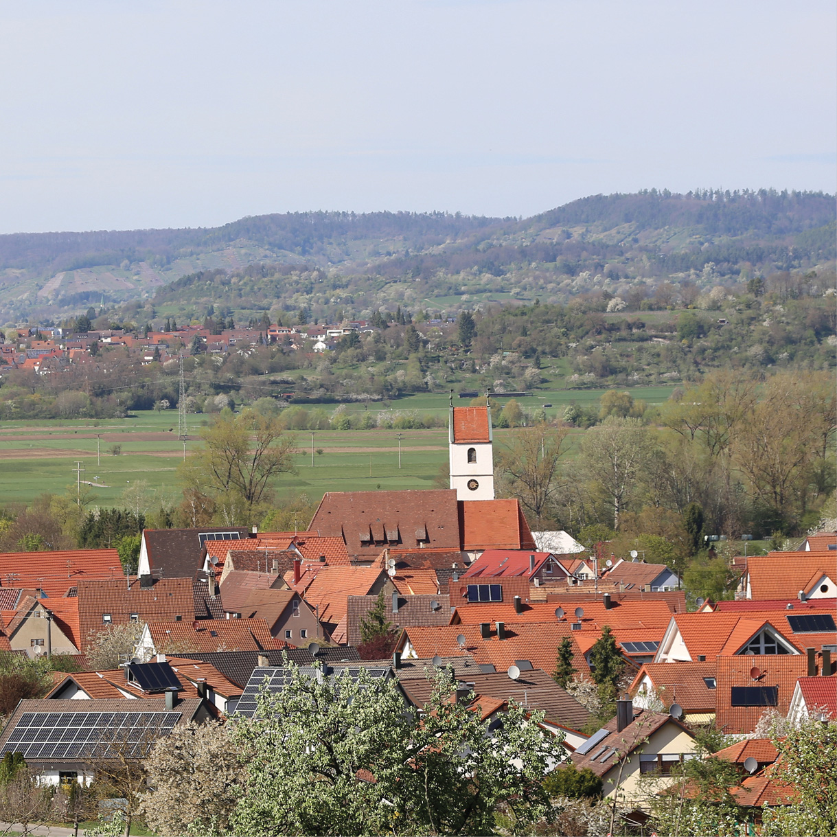 Blick auf Kiebingen