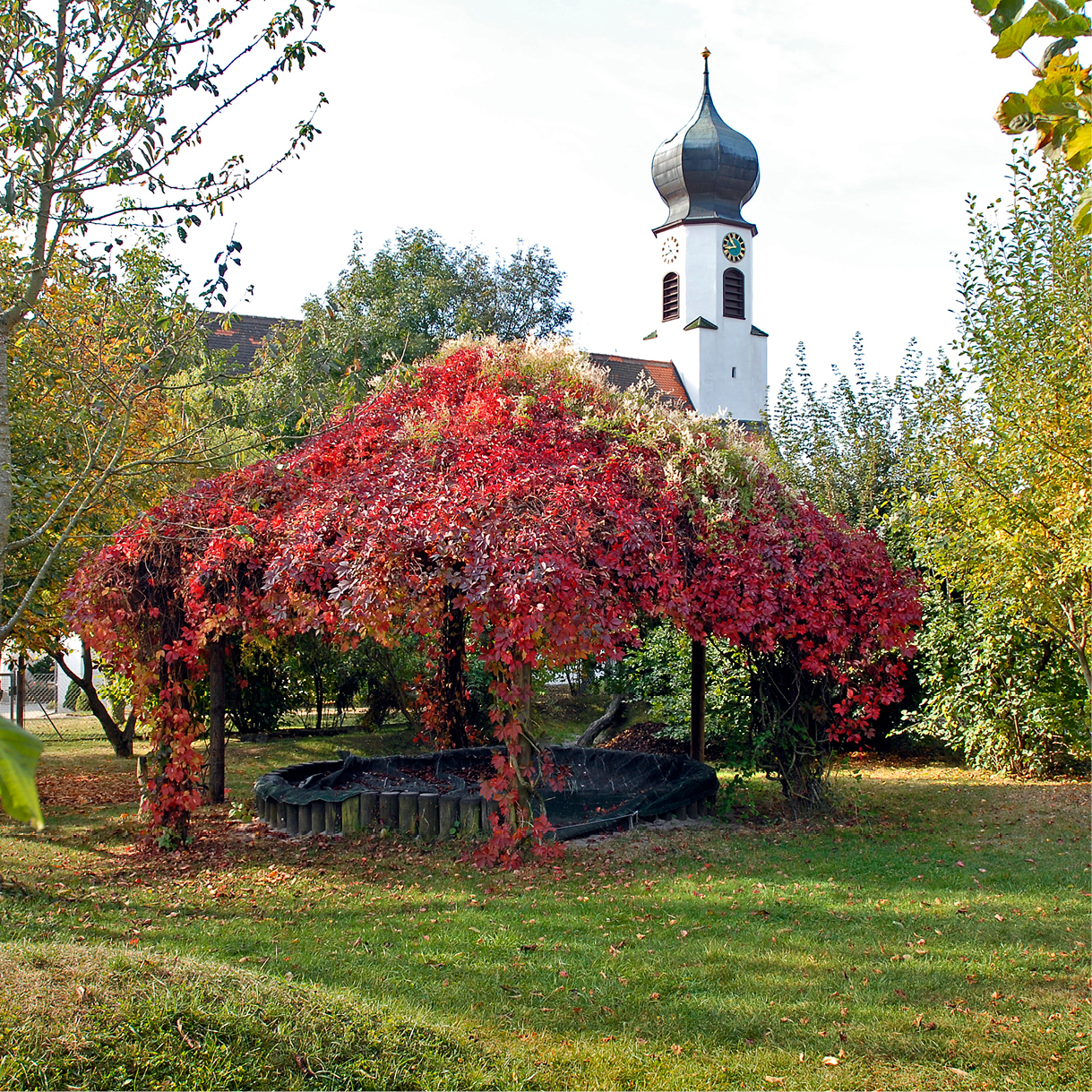 Kirche in Schwalldorf