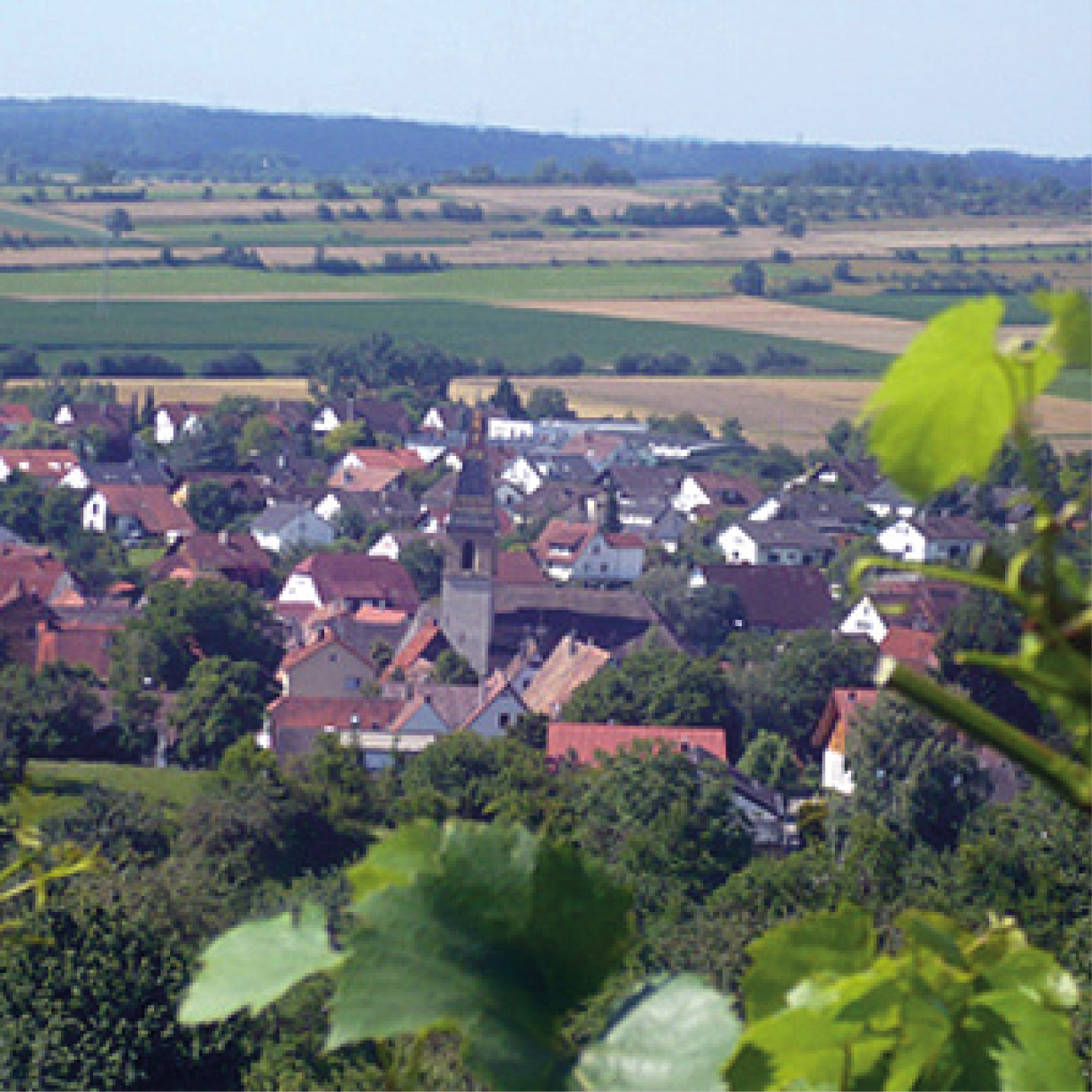 Blick vom Weinberg auf Wendelsheim
